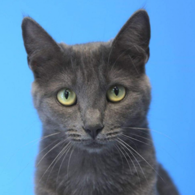 Sdfg,  - collectif pour un monde plus respectueux